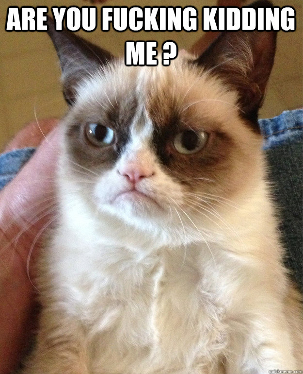 are you fucking kidding me ?  - are you fucking kidding me ?   Grumpy Cat