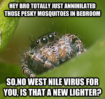 Hey Bro totally just annihilated those pesky mosquitoes in bedroom so,no west nile virus for you, is that a new lighter?  Misunderstood Spider