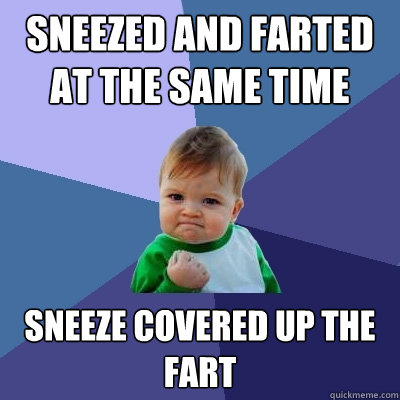 Sneezed and farted at the same time Sneeze covered up the fart - Sneezed and farted at the same time Sneeze covered up the fart  Success Kid