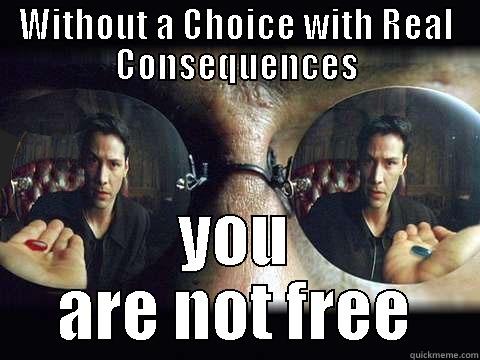 WITHOUT A CHOICE WITH REAL CONSEQUENCES YOU ARE NOT FREE Misc