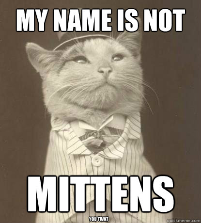 My name is not MITTENS you twat  Aristocat