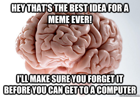 Hey that's the best idea for a meme ever! I'll make sure you forget it before you can get to a computer  Scumbag Brain