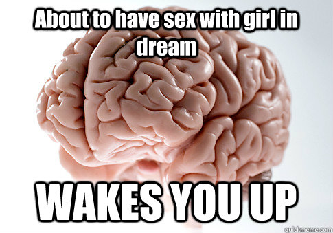 About to have sex with girl in dream WAKES YOU UP    Scumbag Brain