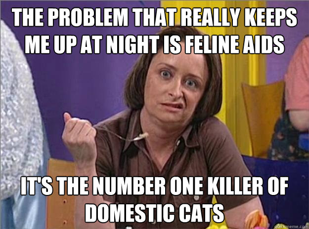 The problem that really keeps me up at night is feline AIDS It's the number one killer of domestic cats  