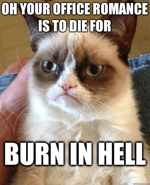 Oh your office romance is to die for  Burn in hell   Grumpy Cat