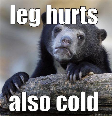 LEG HURTS ALSO COLD Confession Bear