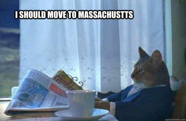 I should move to Massachustts   Sophisticated Cat