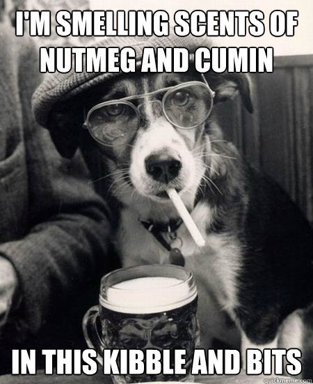 I'm smelling scents of nutmeg and cumin in this kibble and bits  - I'm smelling scents of nutmeg and cumin in this kibble and bits   Hipster Dog