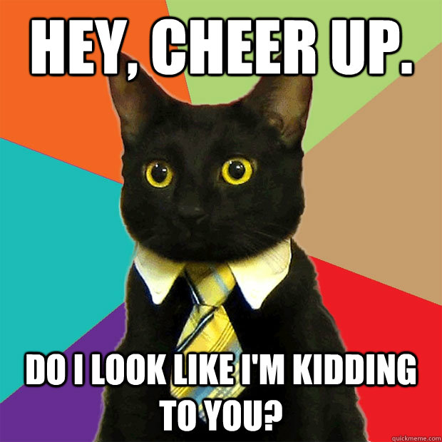 Hey, Cheer up. Do I look Like I'm Kidding to you?  Business Cat