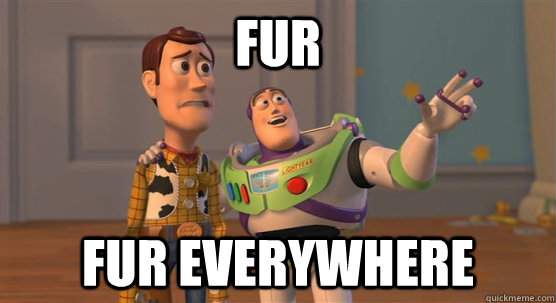 Fur fur everywhere  Toy Story Everywhere