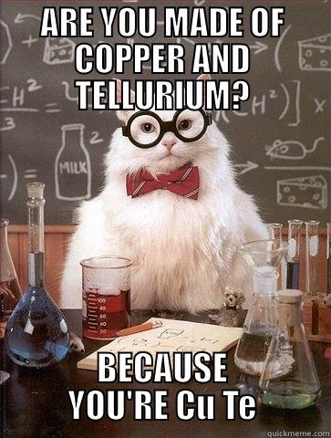 ARE YOU MADE OF COPPER AND TELLURIUM? BECAUSE YOU'RE CU TE Chemistry Cat