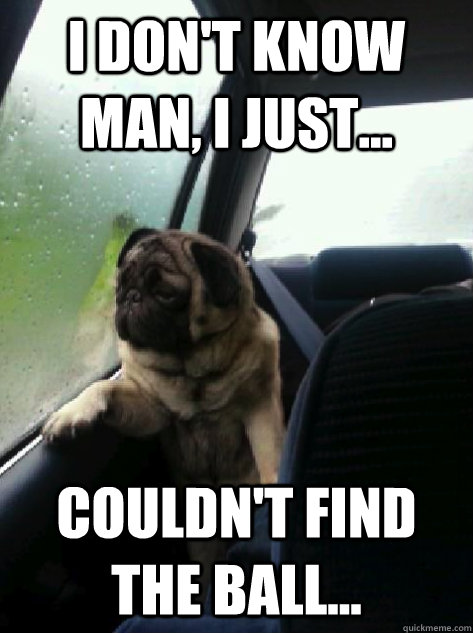 I don't know man, I just... couldn't find the ball...  Introspective Pug