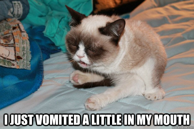  i just vomited a little in my mouth -  i just vomited a little in my mouth  heaving grumpy cat