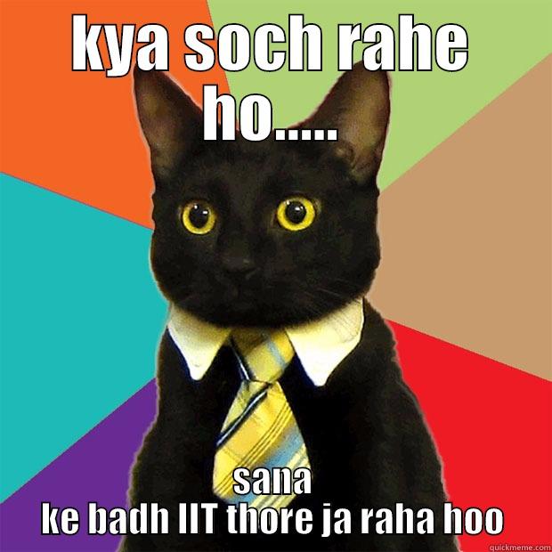 i am also  profesional  - KYA SOCH RAHE HO..... SANA KE BADH IIT THORE JA RAHA HOO Business Cat