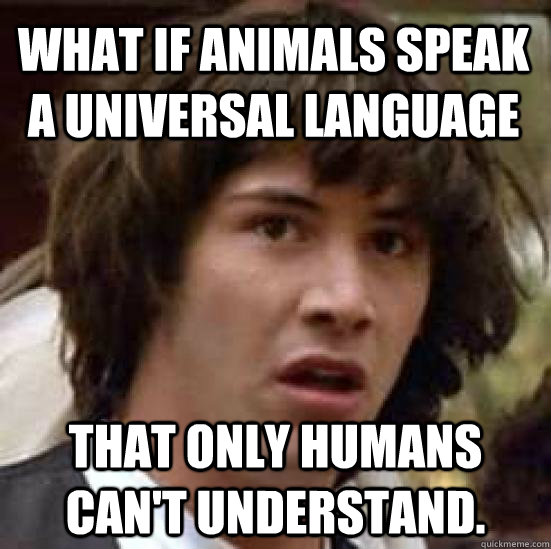 What if animals speak a universal language that only humans can't understand.  conspiracy keanu