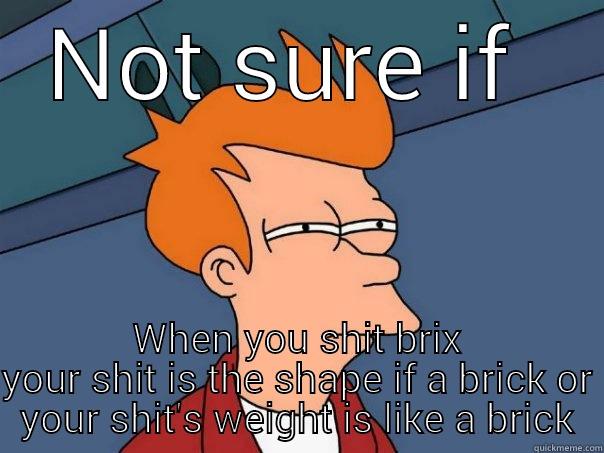 NOT SURE IF  WHEN YOU SHIT BRIX YOUR SHIT IS THE SHAPE IF A BRICK OR YOUR SHIT'S WEIGHT IS LIKE A BRICK Futurama Fry