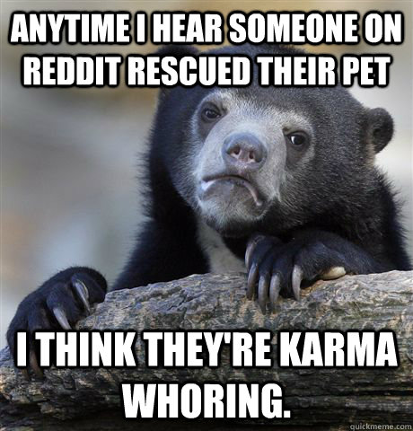 Anytime I hear someone on reddit rescued their pet I think they're karma whoring.  Confession Bear