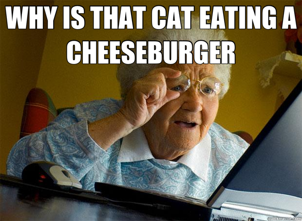 WHY IS THAT CAT EATING A CHEESEBURGER  - WHY IS THAT CAT EATING A CHEESEBURGER   Grandma finds the Internet