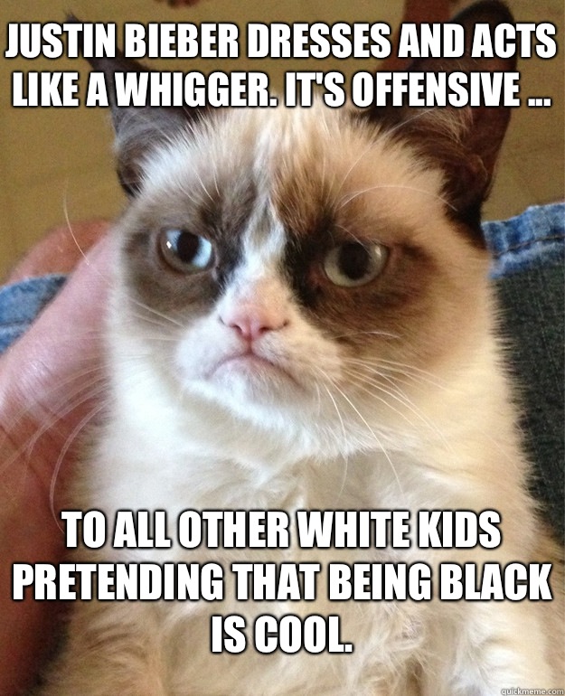 Justin Bieber dresses and acts like a whigger. It's offensive ... To all other white kids pretending that being black is cool.   Grumpy Cat