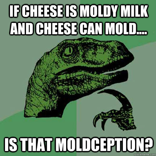 If cheese is moldy milk and cheese can mold.... Is that Moldception?  Philosoraptor