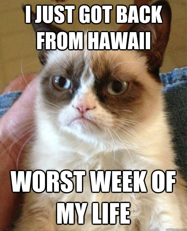 I just got back from hawaii worst week of my life  Grumpy Cat