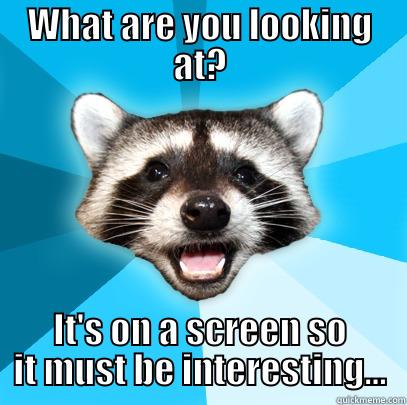 WHAT ARE YOU LOOKING AT? IT'S ON A SCREEN SO IT MUST BE INTERESTING... Lame Pun Coon