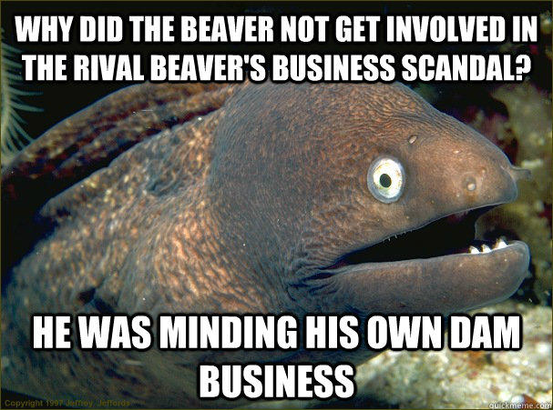 WHY DID THE BEAVER NOT GET INVOLVED IN THE RIVAL BEAVER'S BUSINESS SCANDAL? HE WAS MINDING HIS OWN DAM BUSINESS  