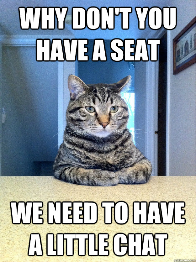 Why don't you have a seat we need to have a little chat  Chris Hansen Cat