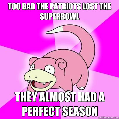 Too bad the Patriots lost the Superbowl They almost had a perfect season  Slowpoke