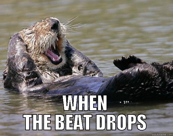  WHEN THE BEAT DROPS Misc