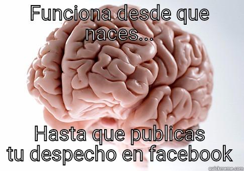 FUNCIONA DESDE QUE NACES... HASTA QUE PUBLICAS TU DESPECHO EN FACEBOOK Scumbag Brain