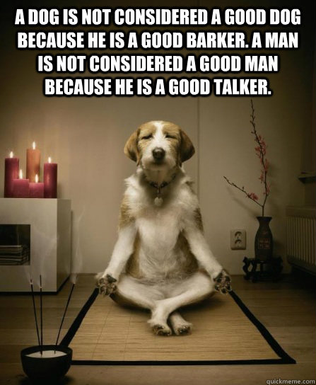 A dog is not considered a good dog because he is a good barker. A man is not considered a good man because he is a good talker.  - A dog is not considered a good dog because he is a good barker. A man is not considered a good man because he is a good talker.   Misc