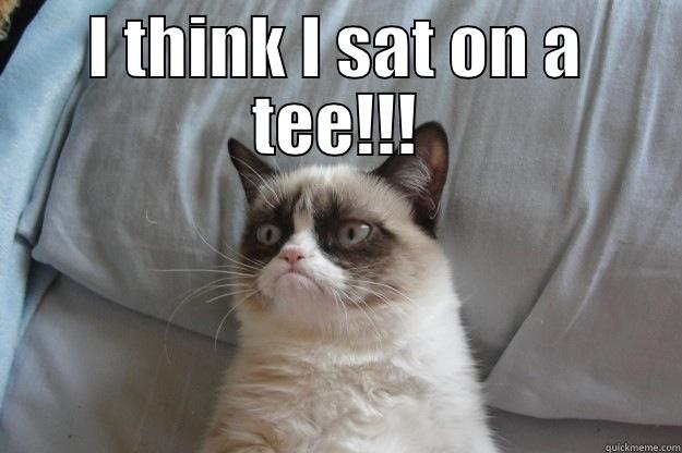 grumpy golfer - I THINK I SAT ON A TEE!!!  Grumpy Cat