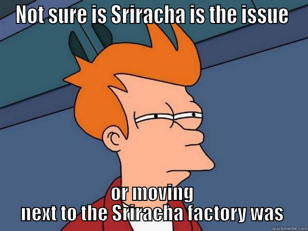 Sriracha is - NOT SURE IS SRIRACHA IS THE ISSUE OR MOVING NEXT TO THE SRIRACHA FACTORY WAS Futurama Fry