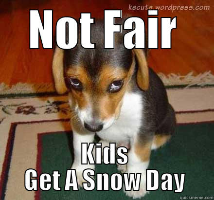 Boo Hoo - NOT FAIR KIDS GET A SNOW DAY Misc