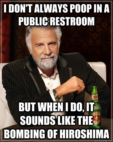 I don't always poop in a public restroom but when I do, it sounds like the bombing of Hiroshima  The Most Interesting Man In The World