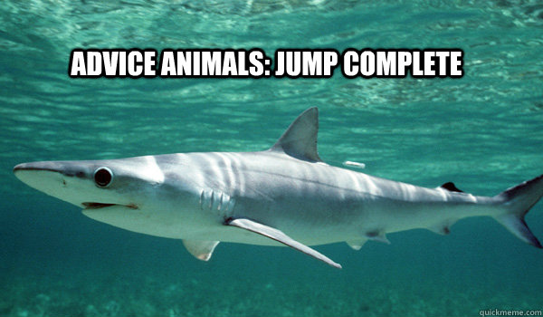 ADVICE ANIMALS: JUMP COMPLETE - ADVICE ANIMALS: JUMP COMPLETE  the end shark