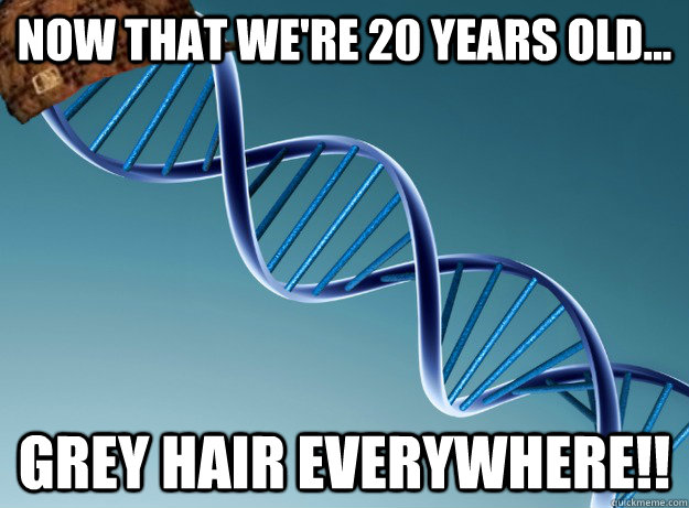 Now that we're 20 years old... GREY HAIR EVERYWHERE!!  Scumbag Genetics