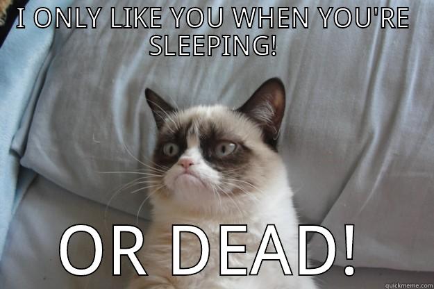 I ONLY LIKE YOU WHEN YOU'RE SLEEPING! - I ONLY LIKE YOU WHEN YOU'RE SLEEPING! OR DEAD! Grumpy Cat