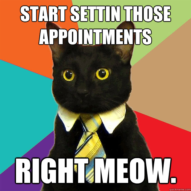 Start Settin Those Appointments RIGHT MEOW.  Business Cat