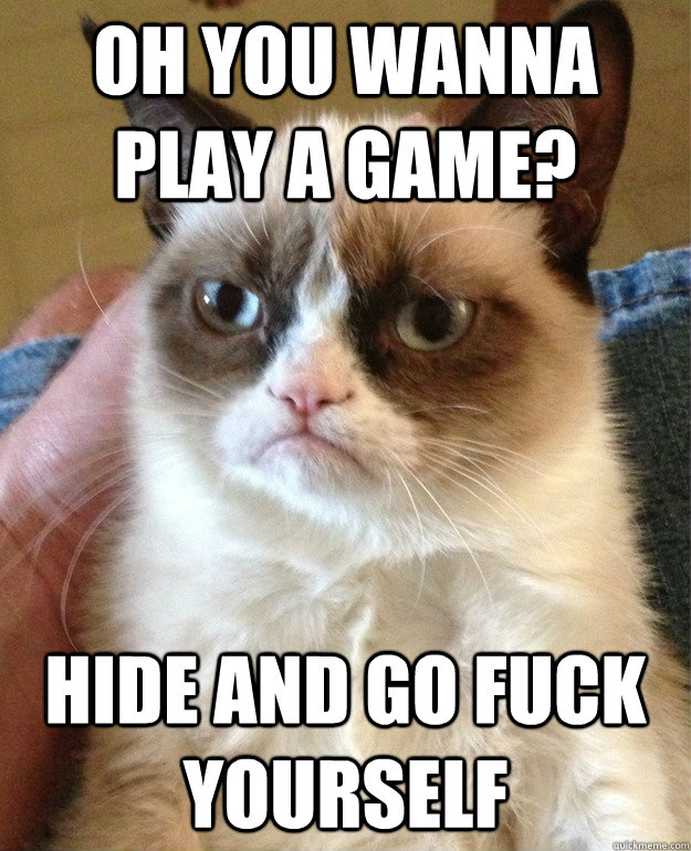 Oh you wanna play a game? Hide and go Fuck yourself  Grumpy Cat