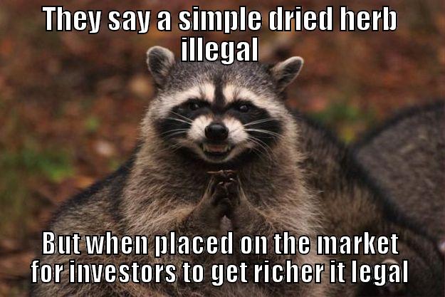 THEY SAY A SIMPLE DRIED HERB ILLEGAL BUT WHEN PLACED ON THE MARKET FOR INVESTORS TO GET RICHER IT LEGAL Evil Plotting Raccoon