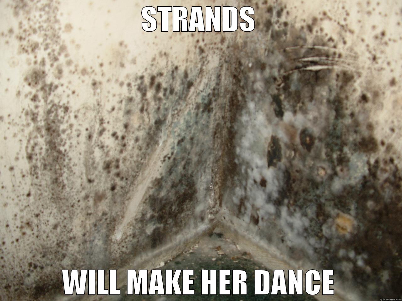 STRANDS WILL MAKE HER DANCE Misc