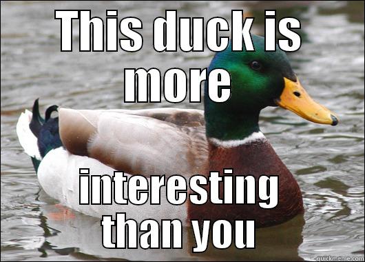 THIS DUCK IS MORE INTERESTING THAN YOU Actual Advice Mallard