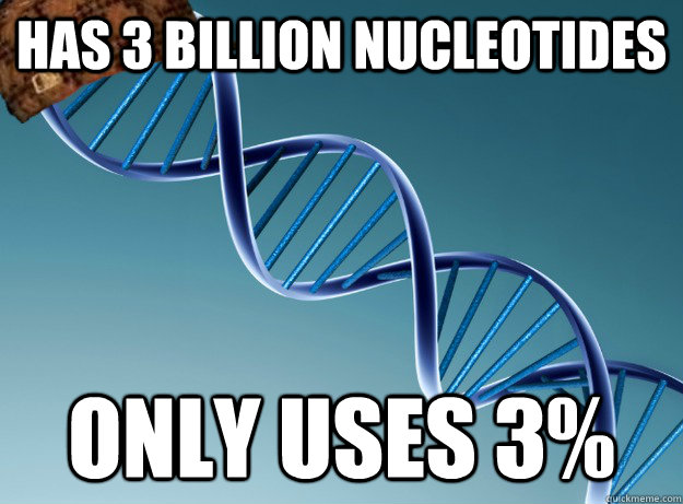 has 3 Billion Nucleotides  only uses 3%  Scumbag Genetics