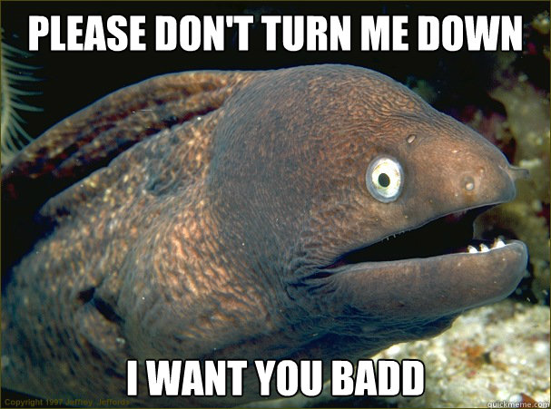 Please don't turn me down i want you badd Caption 3 goes here  Bad Joke Eel