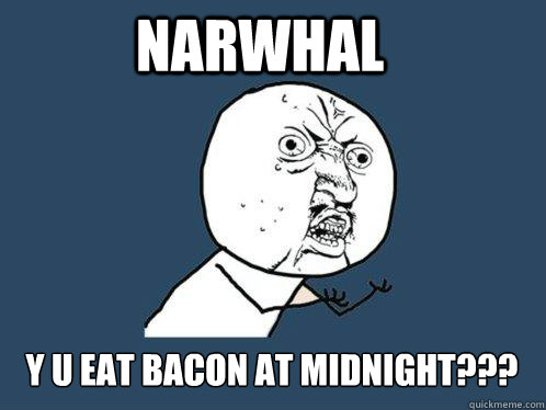 narwhal y u eat bacon at midnight??? - narwhal y u eat bacon at midnight???  Y U No