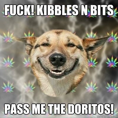 fuck! kibbles n bits pass me the doritos!  Stoner Dog