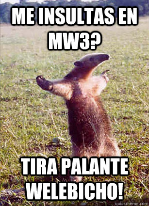 Me insultas en mw3? tira palante welebicho! - Me insultas en mw3? tira palante welebicho!  Defiace Anteater