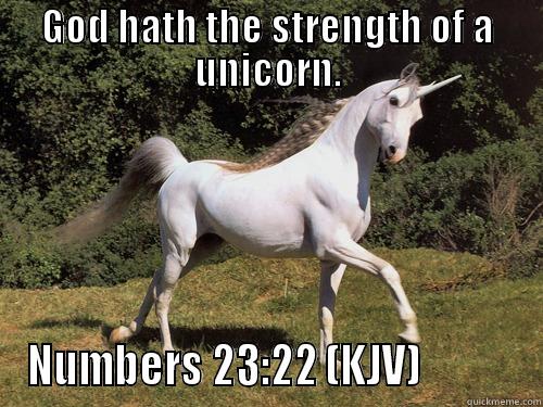 GOD HATH THE STRENGTH OF A UNICORN. NUMBERS 23:22 (KJV)            Misc